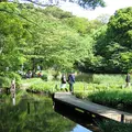 国立科学博物館附属自然教育園の写真_81642