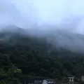 滝味の宿 豊年万作の写真_821296