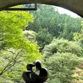 袋田の滝の写真_821302