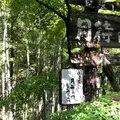 月待の滝の写真_821307