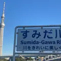 東京スカイツリーの写真_826735