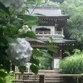 浄智寺の写真_82676