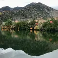 湯ノ湖の写真_826875