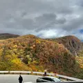 いろは坂の写真_826878