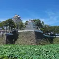 島原城の写真_82825