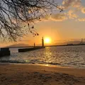 元宇品公園の写真_834391