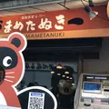 まめたぬきの写真_837637