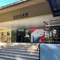 宮島水族館 みやじマリンの写真_838292
