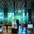 ル ミュゼ ドゥ アッシュ 金沢店の写真_839689