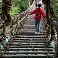 祖谷のかずら橋の写真_840582