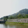 萩城跡指月公園の写真_84241