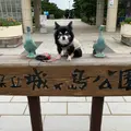 城ヶ島公園の写真_842491