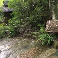 空点庵の写真_842876