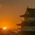 小田原城八幡山古郭東曲輪の写真_84288