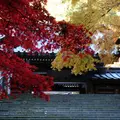 大雄山最乗寺の写真_84341