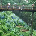 黒羽城址公園の写真_84396