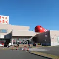 かねふく めんたいパーク大洗の写真_845967