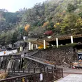 地底王国美川ムーバレーの写真_846722