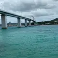 アンチ浜の写真_848439