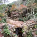 紅葉谷公園の写真_848496