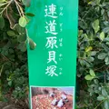 連道原貝塚の写真_849933