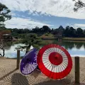 岡山後楽園の写真_850320
