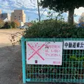 中仙道東公園の写真_850533