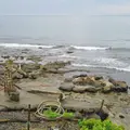 セセキ温泉の写真_85054