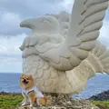 辺戸岬の写真_850575