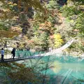 夢の吊橋の写真_851041