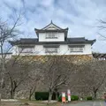 津山城跡の写真_852597
