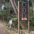 羅生門の写真_853919