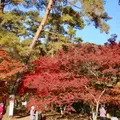 月の石もみじ公園の写真_853959