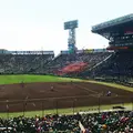 阪神甲子園球場の写真_85706