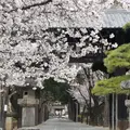 恵林寺の写真_85962