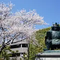 武田信玄公像の写真_85965