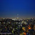 文京シビックセンター展望ラウンジの写真_86159