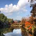 御髪神社の写真_86241