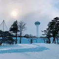五稜郭公園の写真_866562