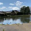 忍野八海の写真_867973