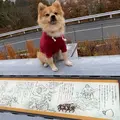 吉備SA (下り)の写真_868753