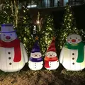 警固公園の写真_869263