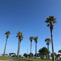 サンビーチ一ツ葉（Sunbeach Hitotsuba）の写真_872270