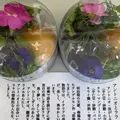 菓子屋 のなの写真_877785