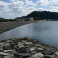 源頼朝上陸地の碑の写真_879899