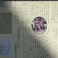 田中本陣跡の写真_881253