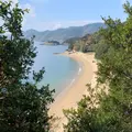 仙酔島の写真_881606