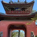 崇福寺の写真_882103