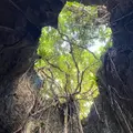 ヌドクビアブの写真_882525