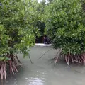 sea_aid（SUP,シュノーケリング）の写真_882741